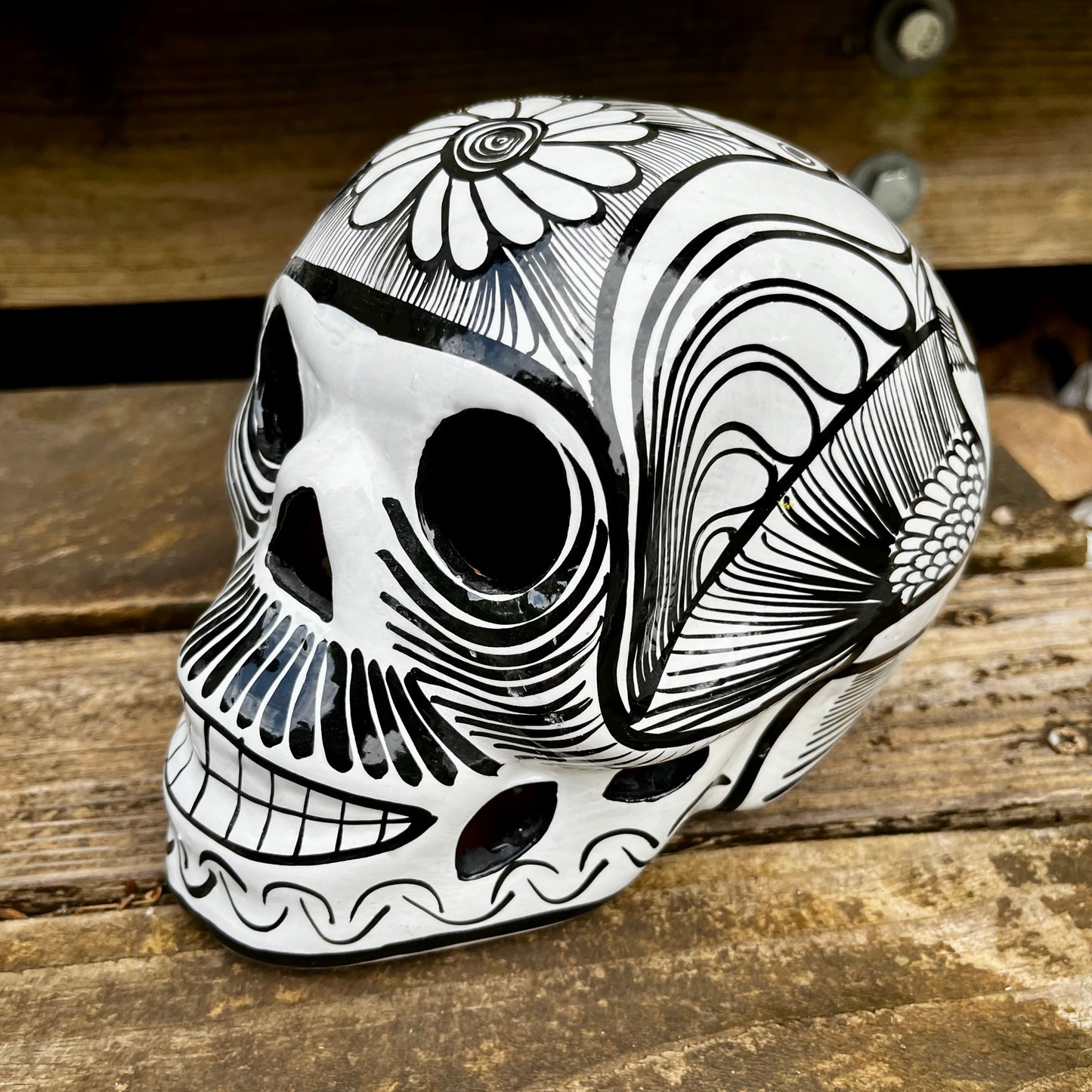 Painted sugar skull ￼