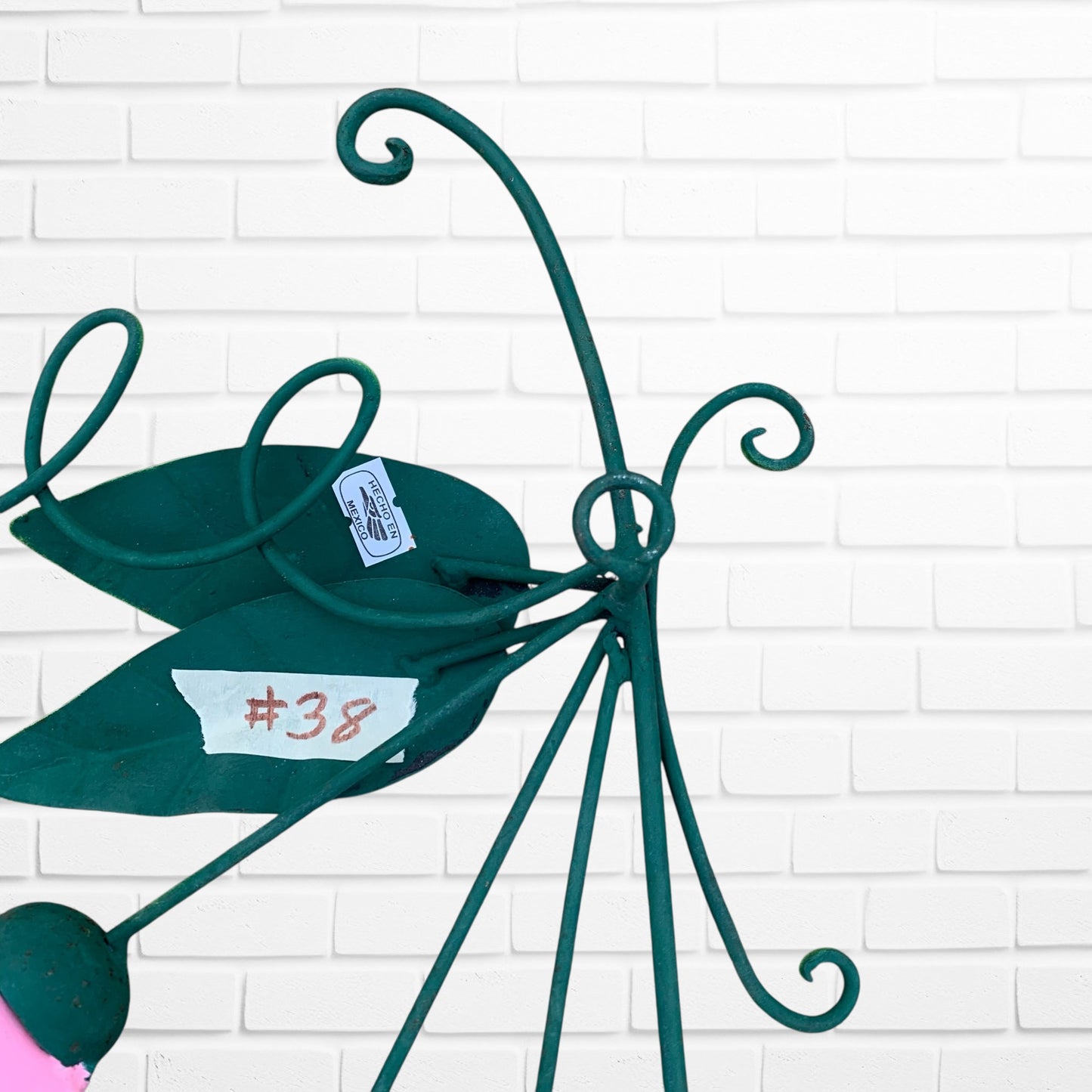 Hummingbird Bright Magenta Flowers