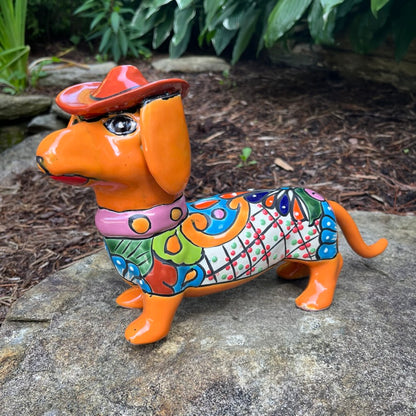Dachshund Dog Wearing Hat yellow