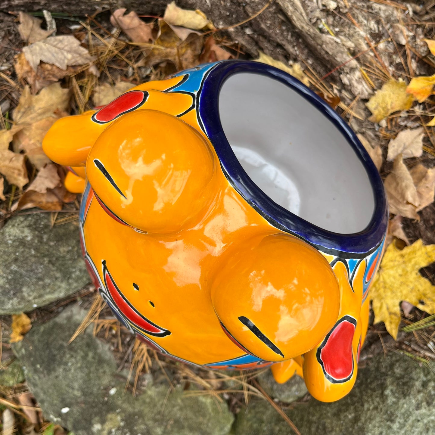 Mexican Talavera Gordo frog planter top