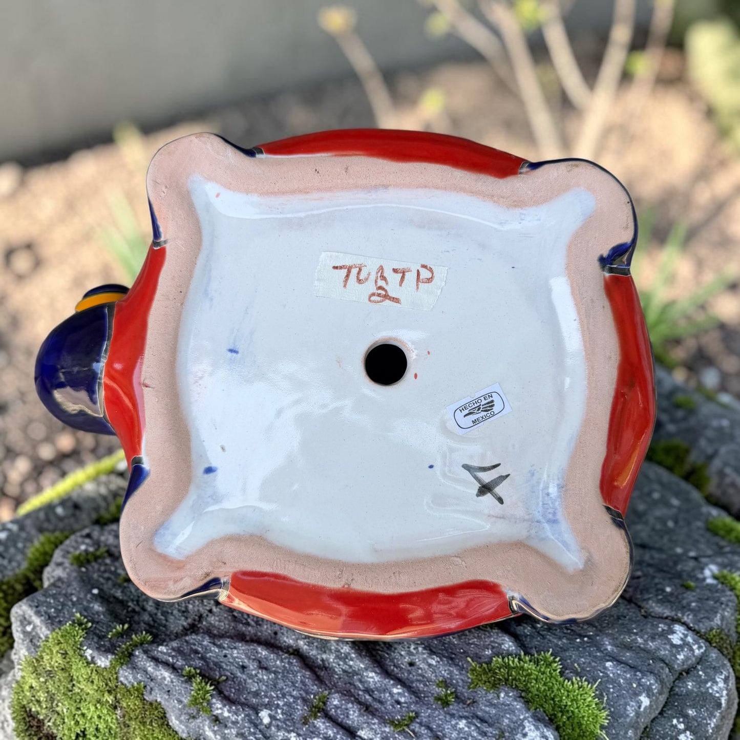 A colorful talavera turtle planter with a hand-painted Mexican-style pattern in orange, blue, yellow, and white, sitting on a mossy stone outdoors. Bottom drain hole.