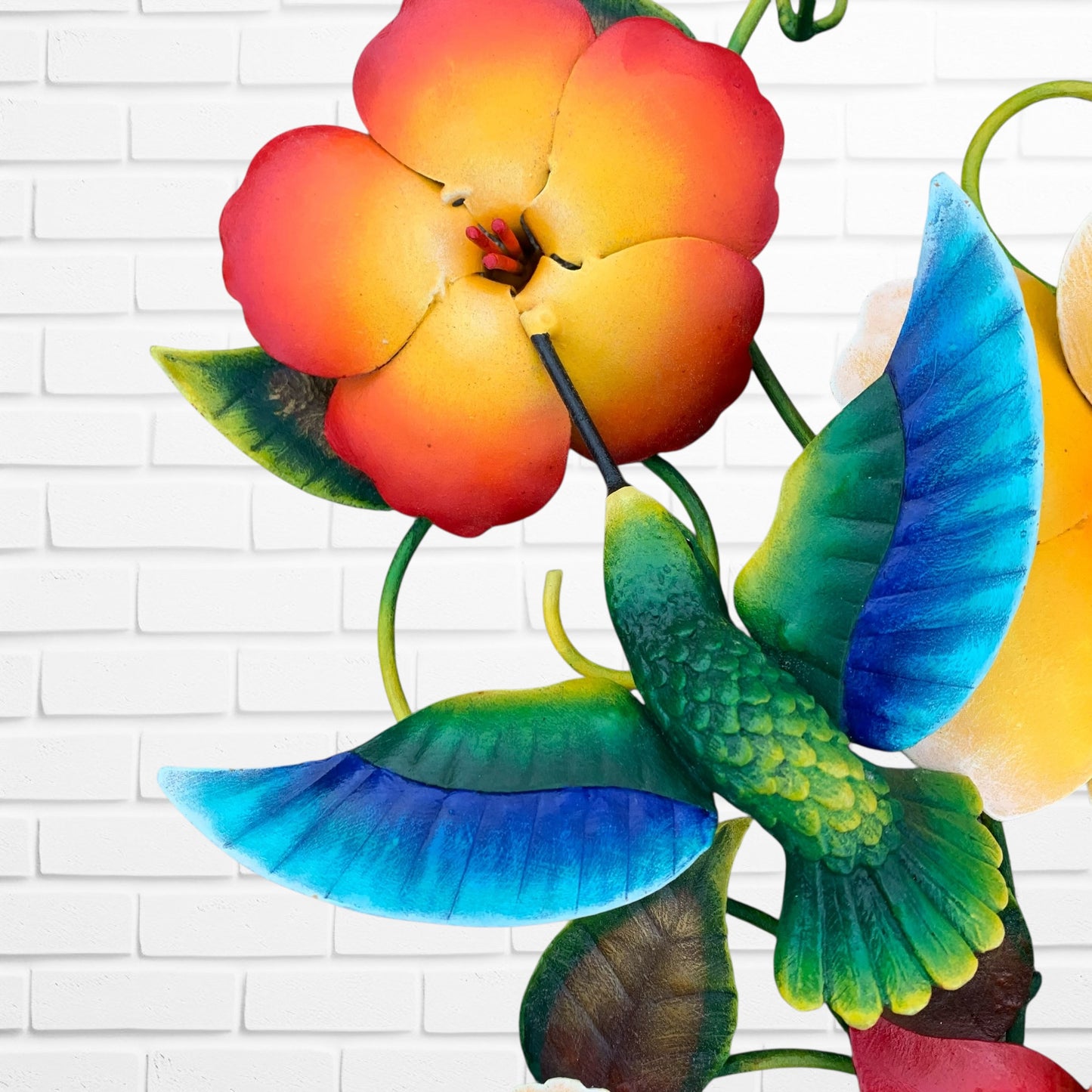 Hummingbird Butterfly Tropical Floral  bird close up