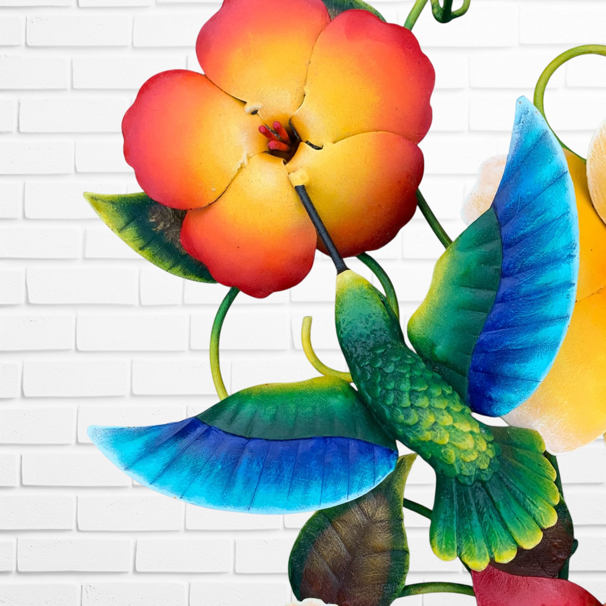 Hummingbird Butterfly Tropical Floral  bird close up