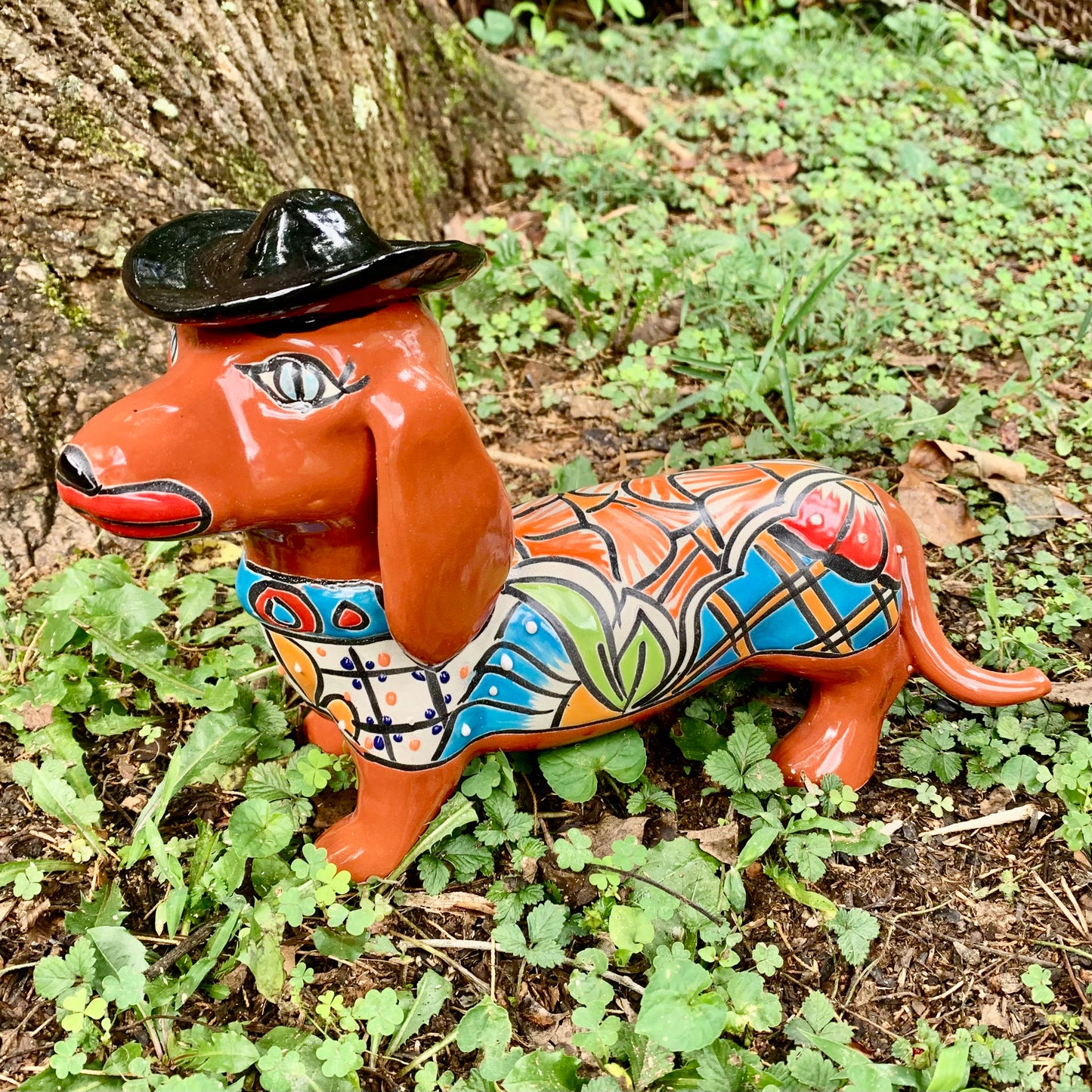 Dachshund Dog Wearing Hat