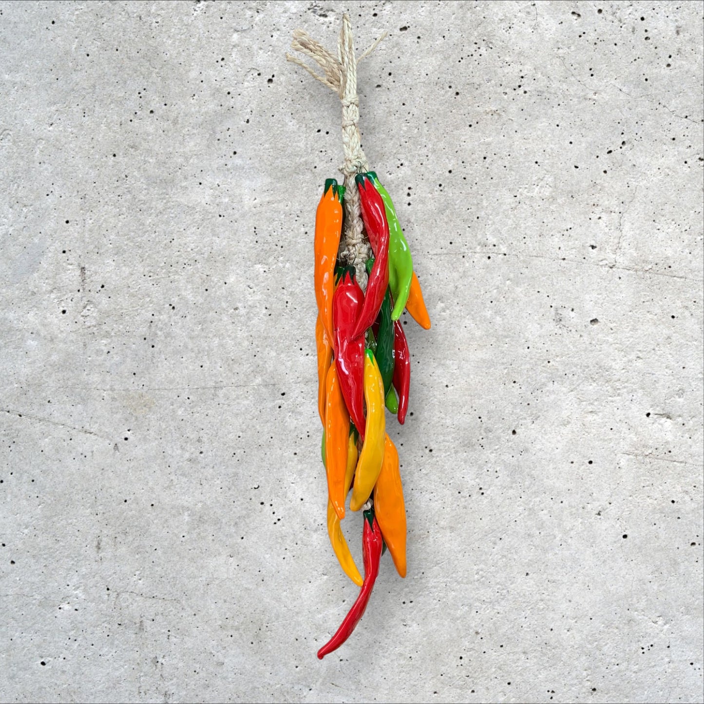 Guajillo Chili Pepper String! Multi Color 25”