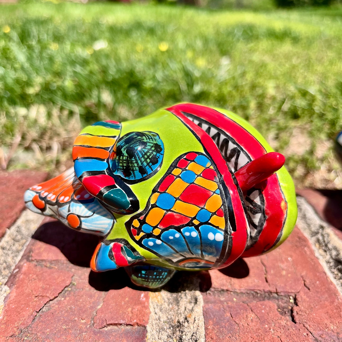 Talavera Cameleon