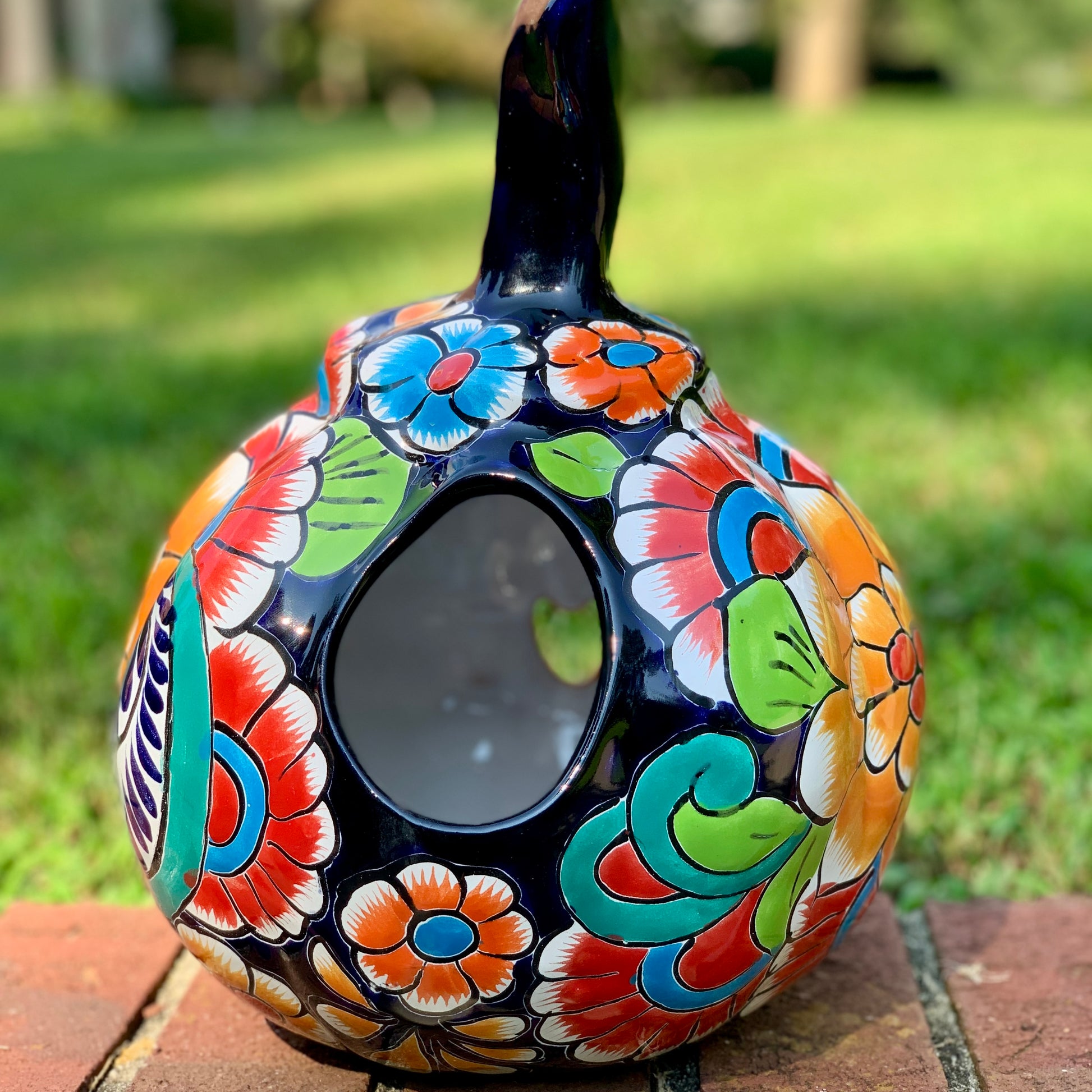 Remy talavera pumpkin jol back