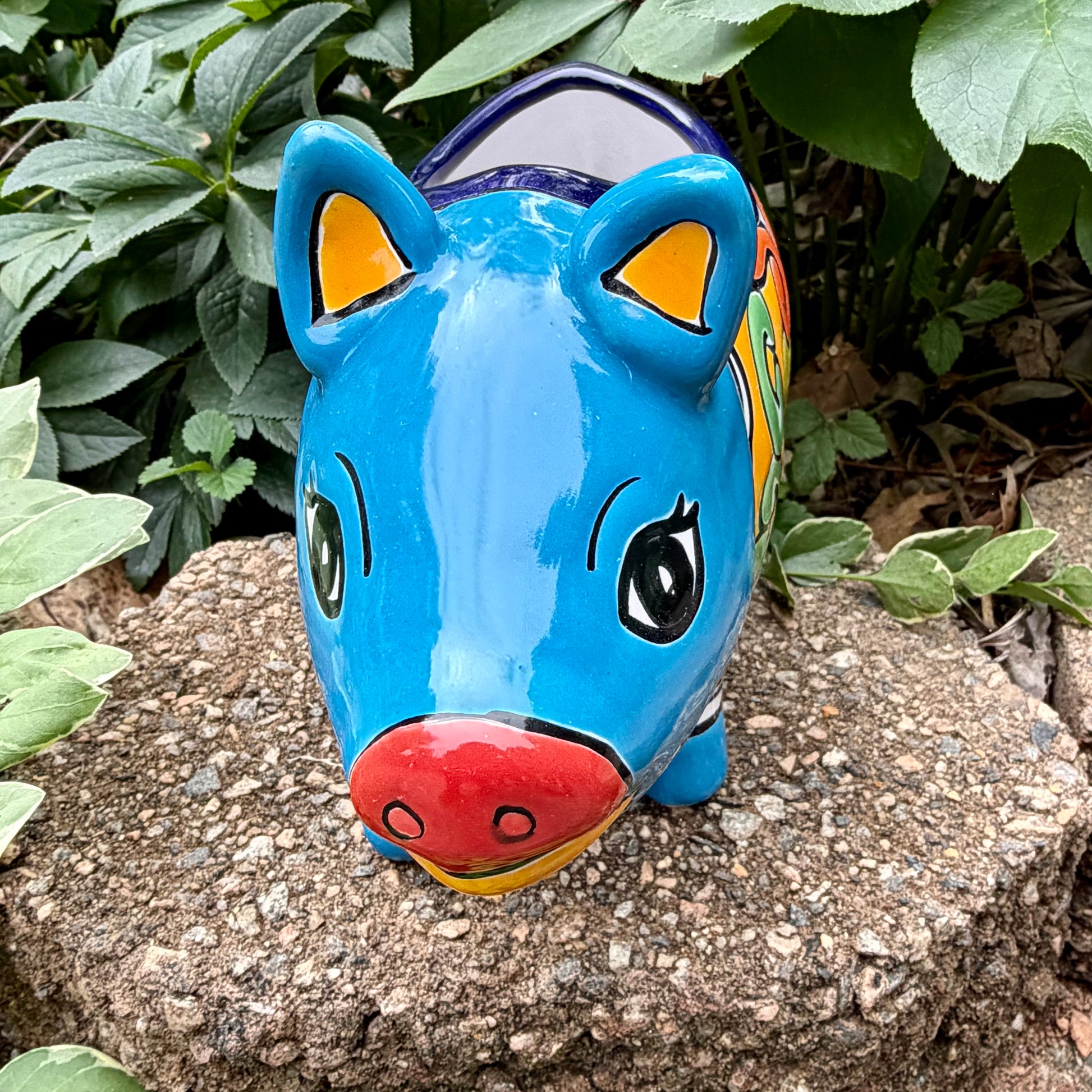 Colorful Talavera ceramic pig planter on a stone surface with green plants in Background face view