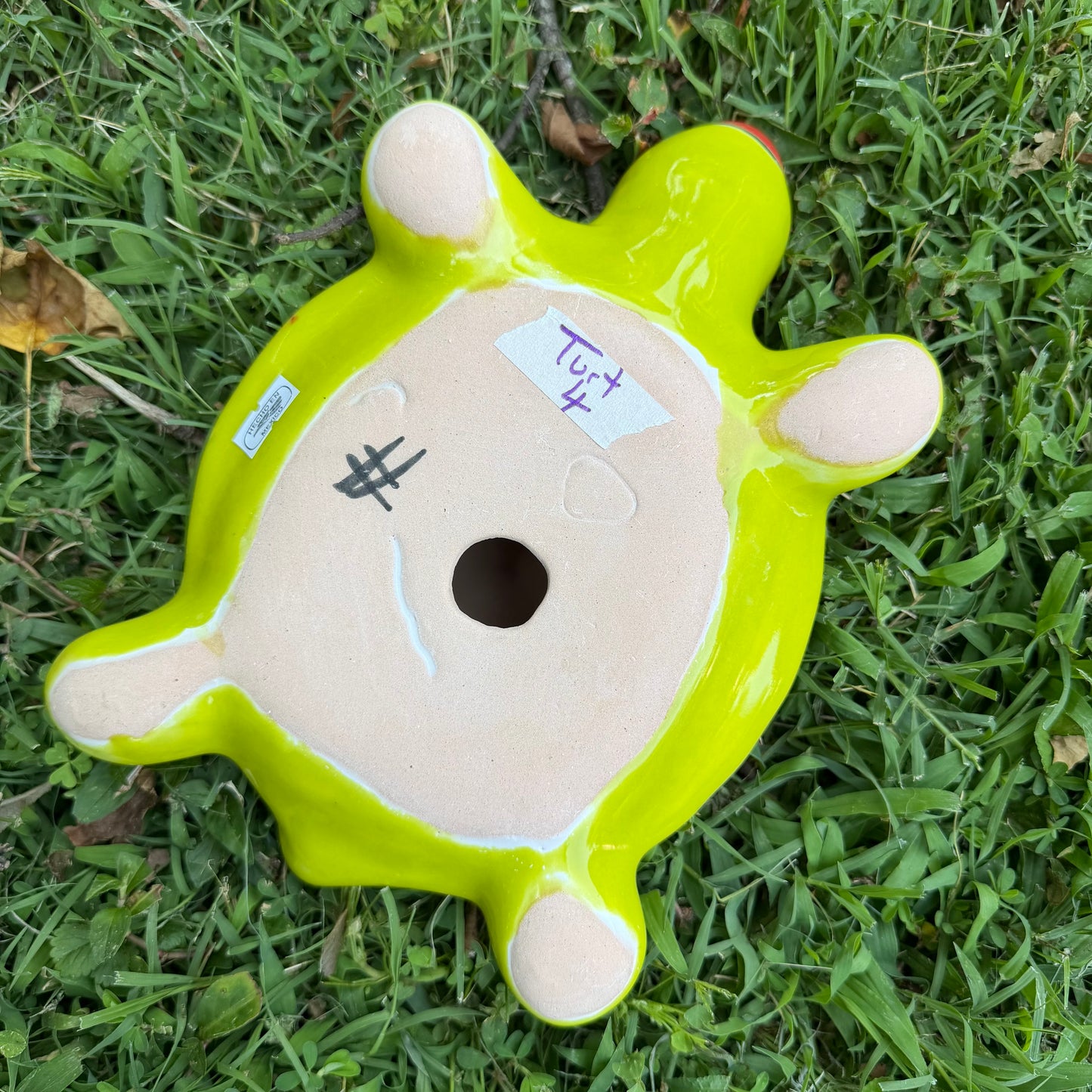 Mexican Talavera Colorful turtle-shaped object on a rocky surface Bottom