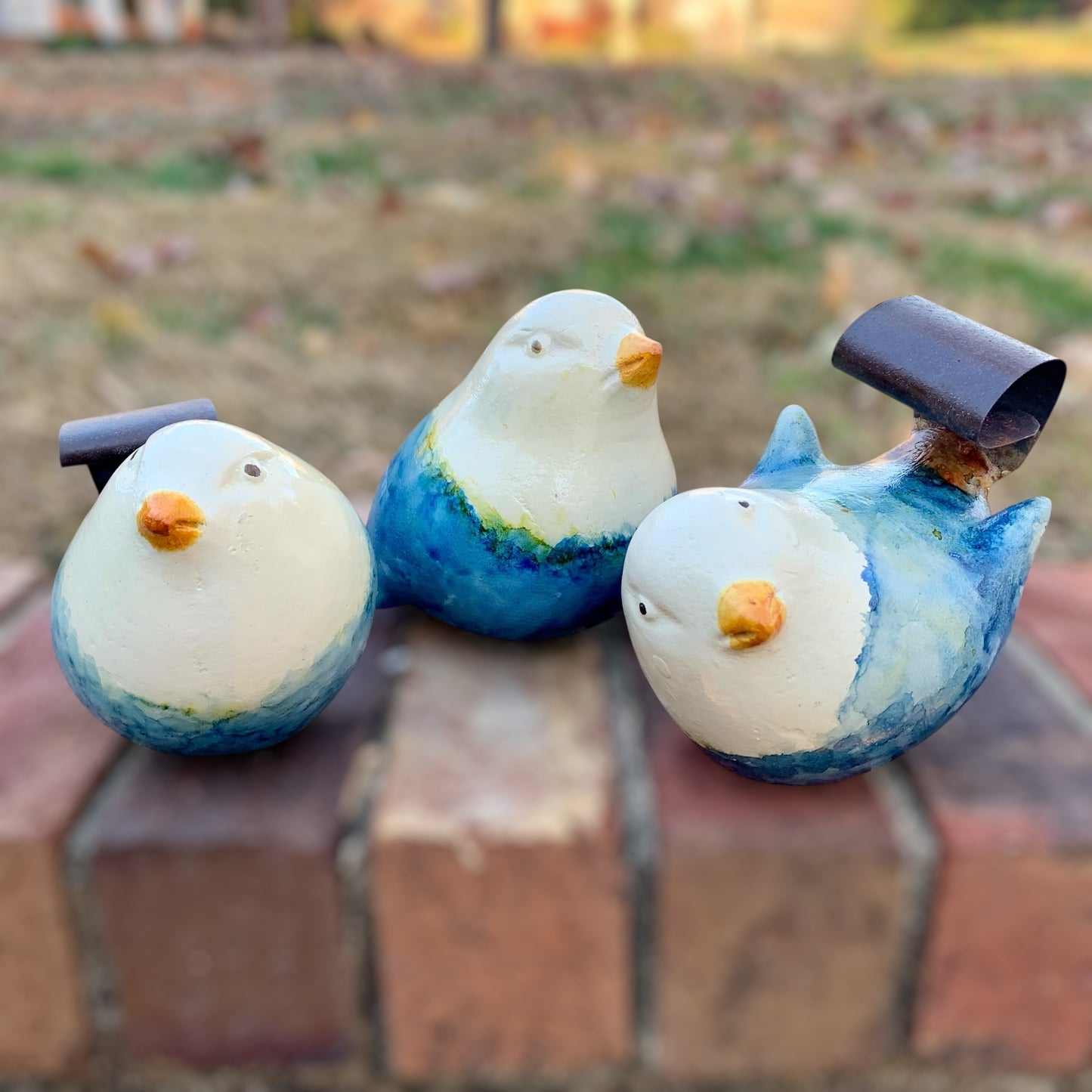 Loretta Bertoli Bird Set