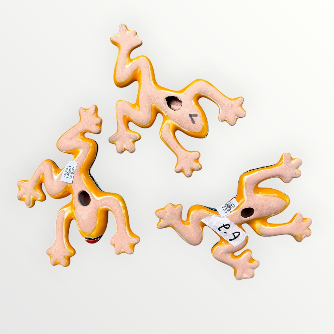 Three colorful ceramic frogs on a white background Back view