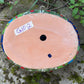 Chicken Planter Pot Gordo
