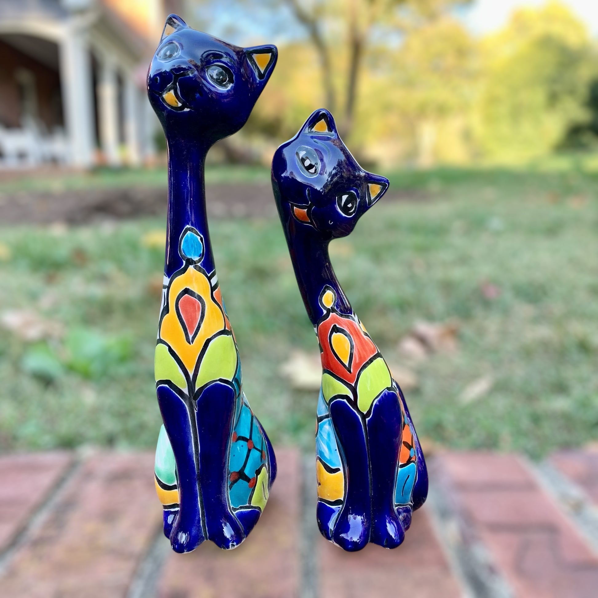 Amore Kitty Set Cobalt