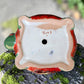 A colorful ceramic turtle-shaped planter with a green head and legs, decorated with vibrant hand-painted patterns in orange, yellow, blue, red, and white, sitting on a mossy stone outdoors. bottom drain hole.