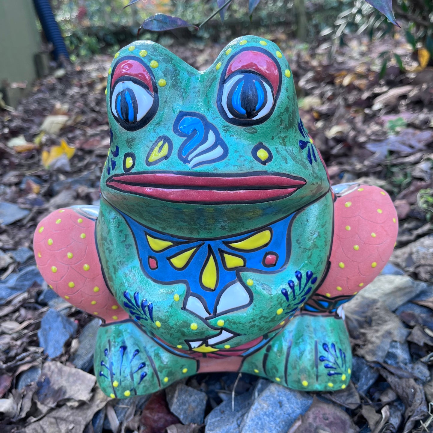 Painted Frog Planter