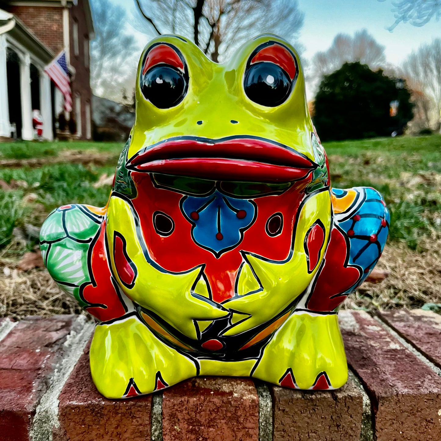 Talavera frog planter pot