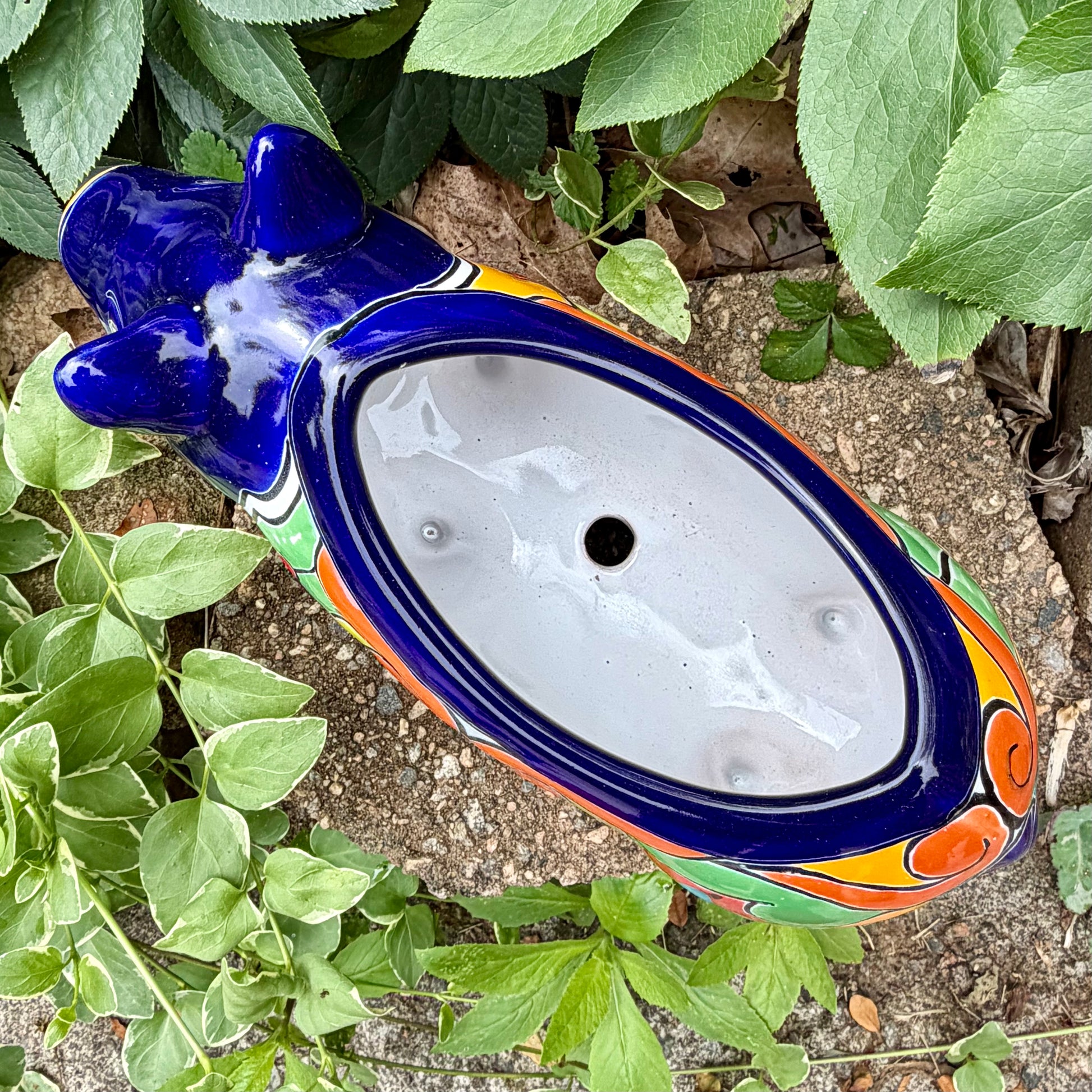 Colorful Talavera ceramic pig planter on a stone surface with green plants in the background Top opening 