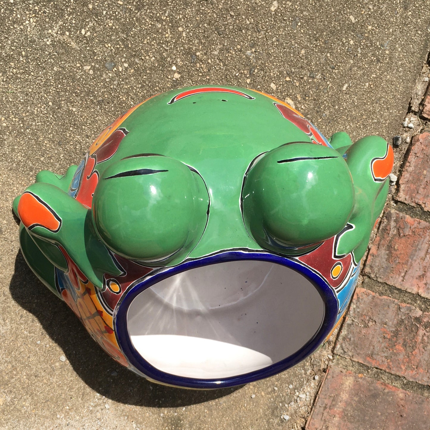 Gordo Frog Planting Pot top