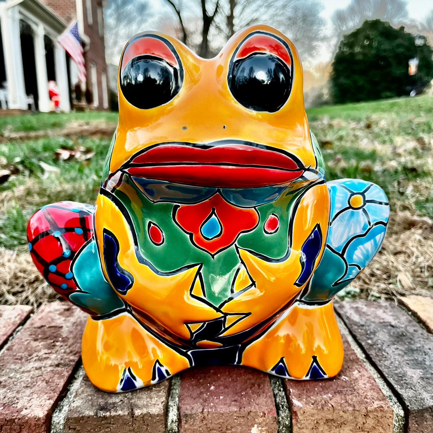 Talavera frog planter pot