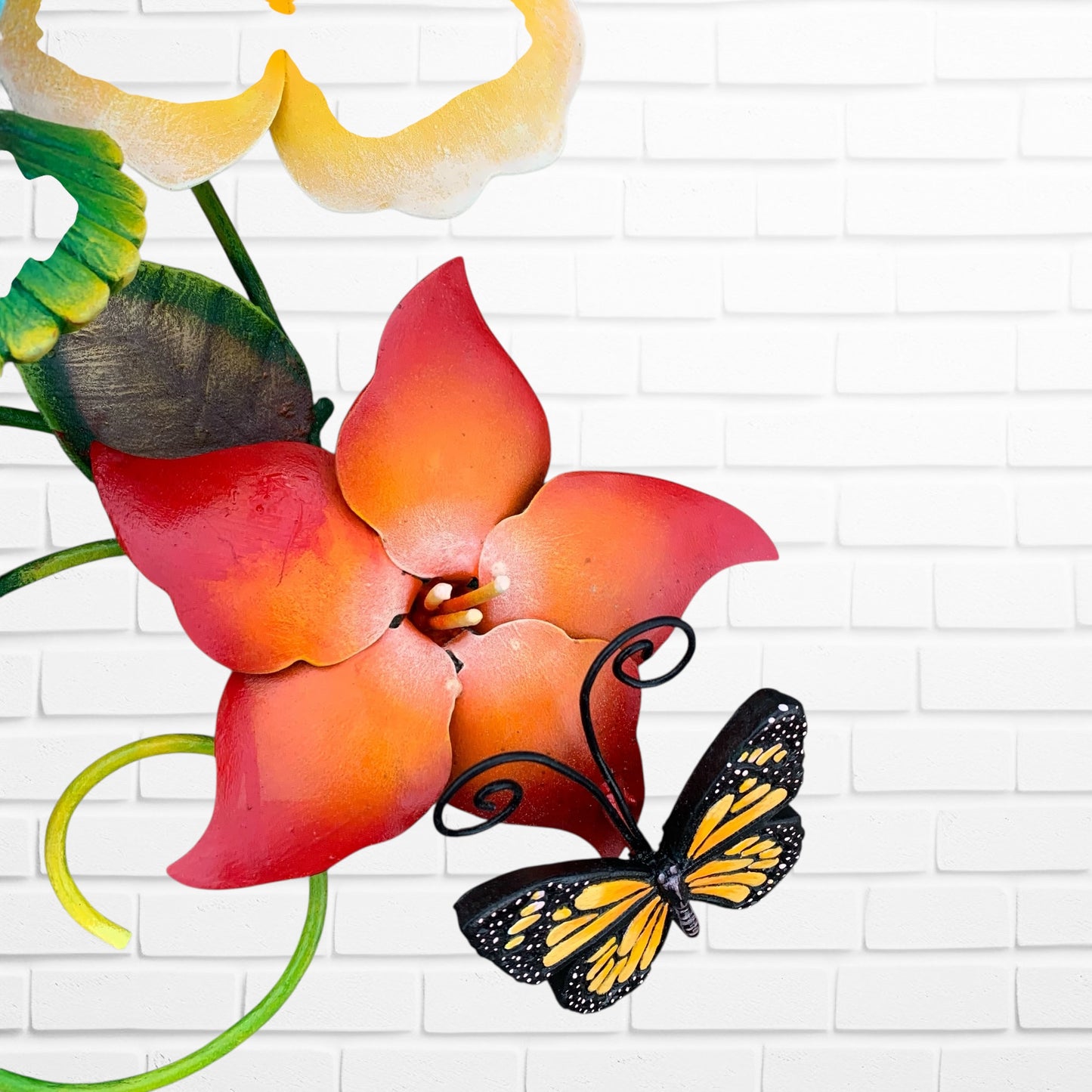 Hummingbird Butterfly Tropical Floral butterfly close up