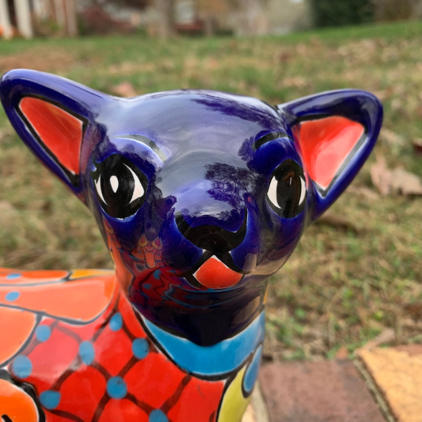 Chihuahua Talavera Pottery face 