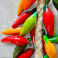 CHILI PEPPERS! Multi Color Mini