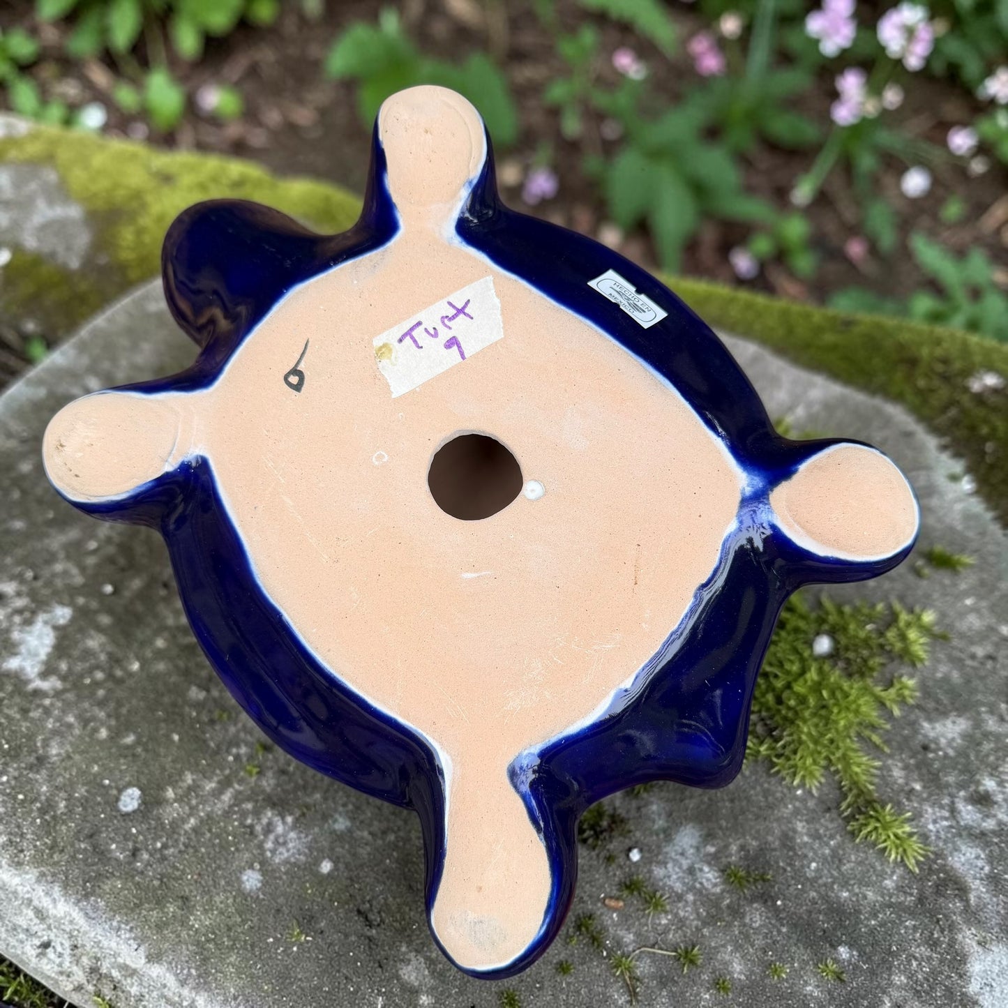 A glossy ceramic turtle figurine with a vibrant hand-painted patterned shell and a deep blue head and legs, resting on a gray stone surface with a blurred green garden background. Bottom view with hole.