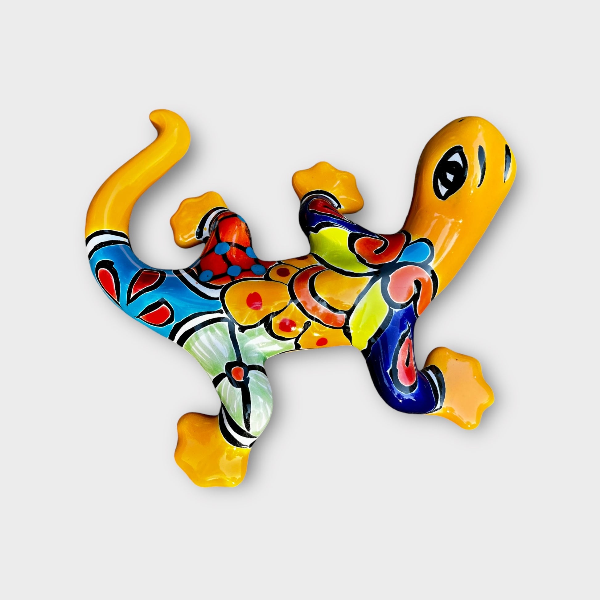 Talavera salamander lizard back