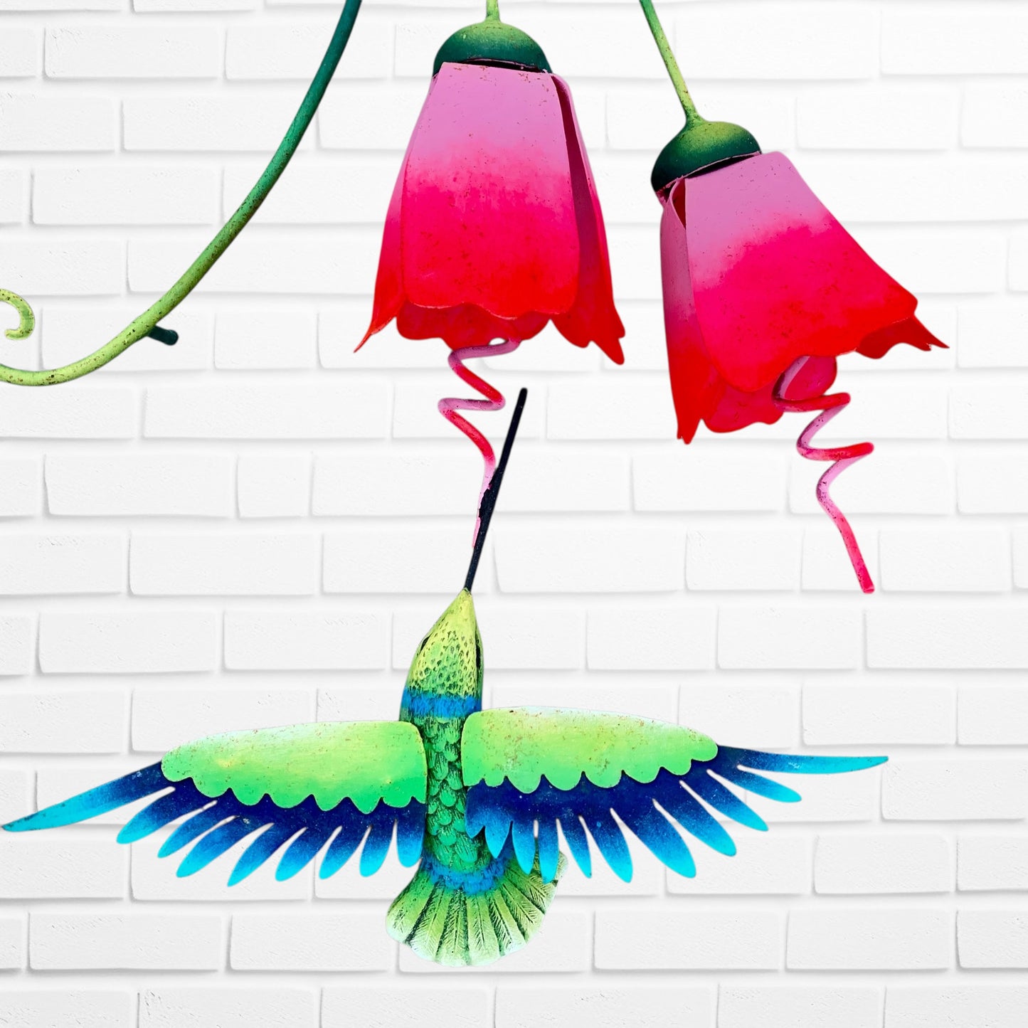 Hummingbird Bright Magenta Flowers Bird Close Up