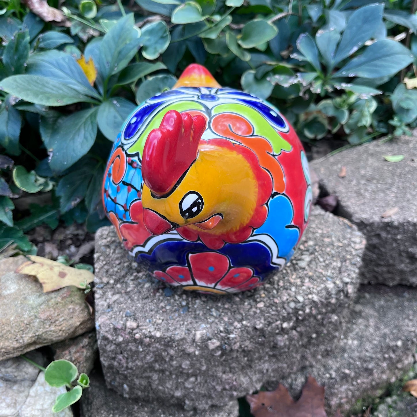 Talavera Gordo Hen Front