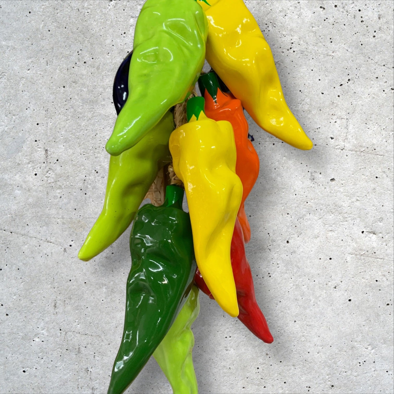 Multicolor poblano pepper string close-up