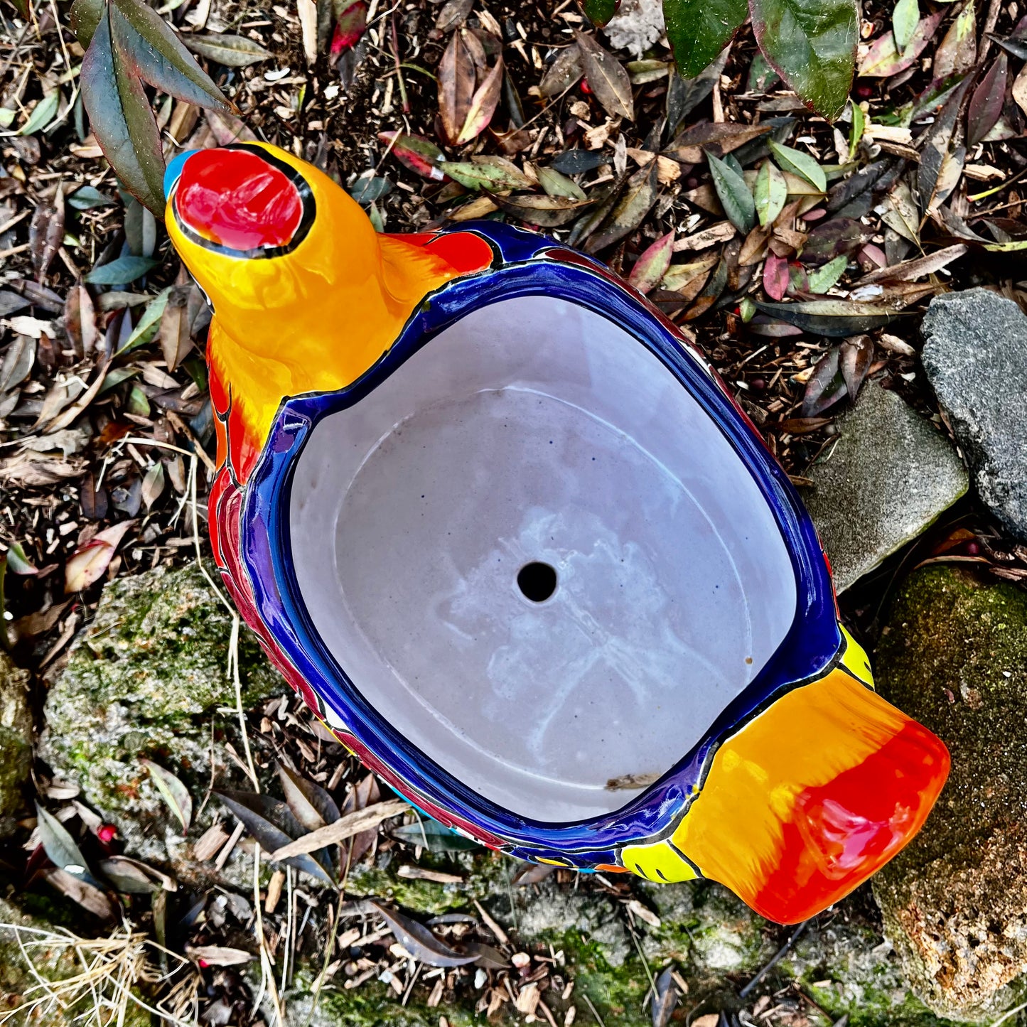 Chicken planter pot top