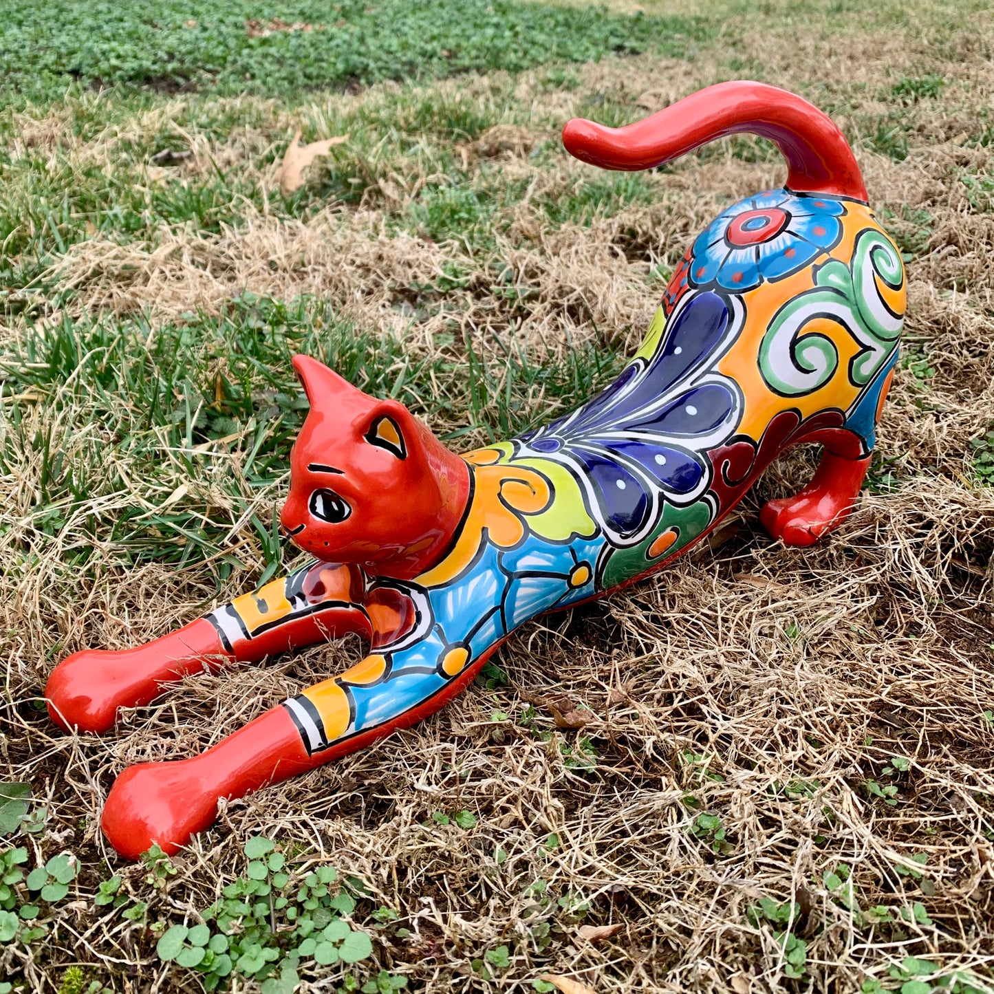Stretching Kitty Cat Grande