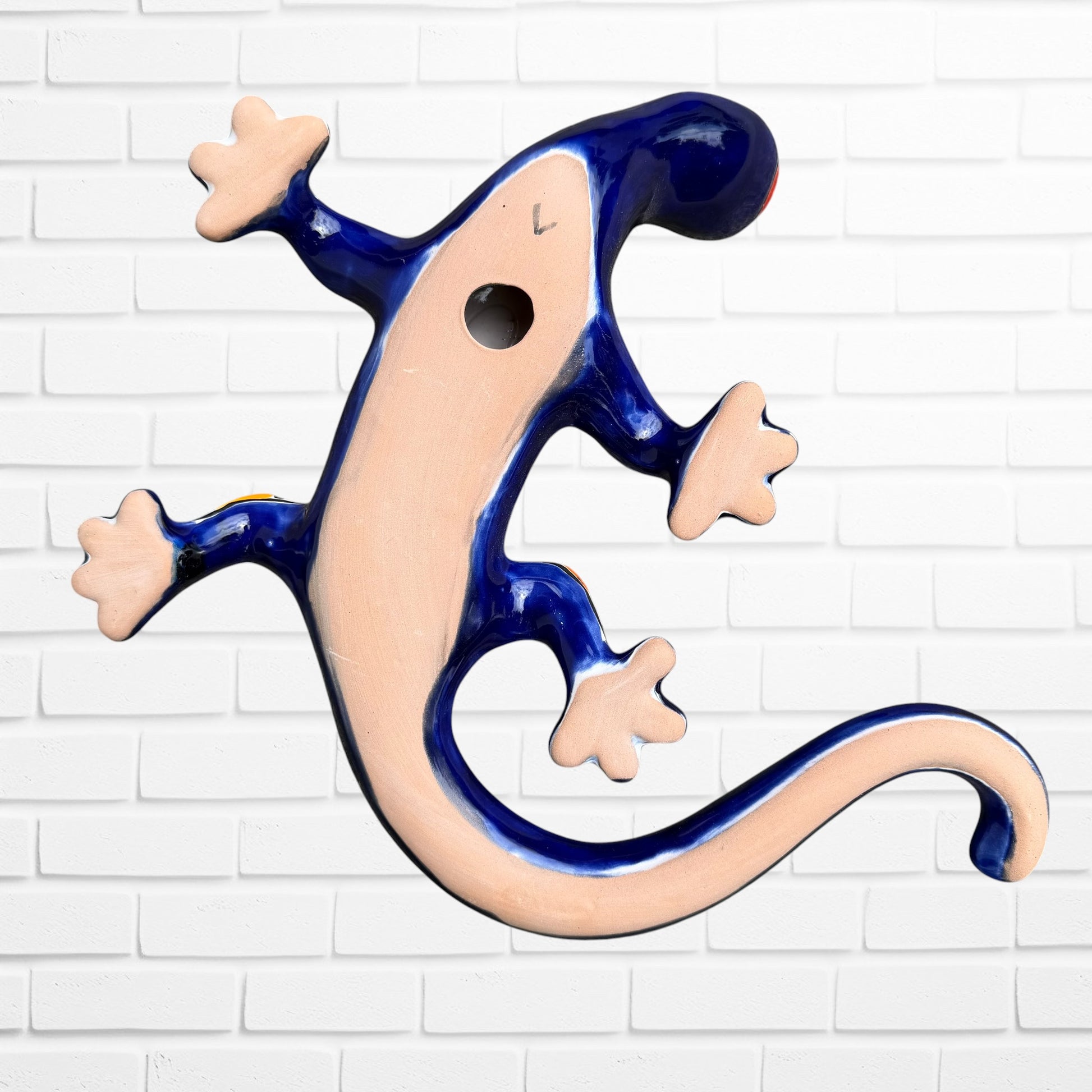 back of salamander lizard showing opening to hand on wall.