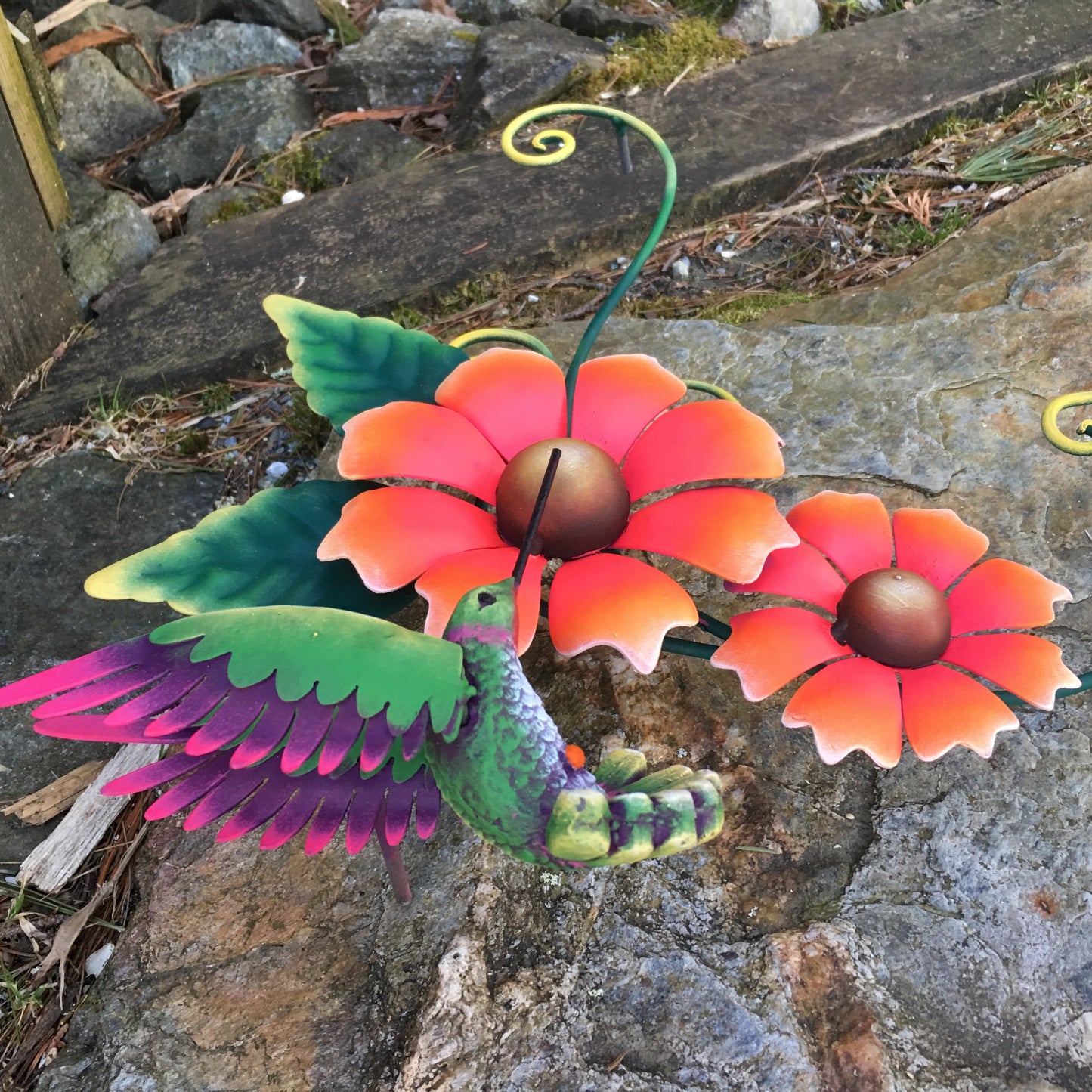 Hummingbird Art