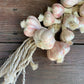 Ceramic Garlic String Grande