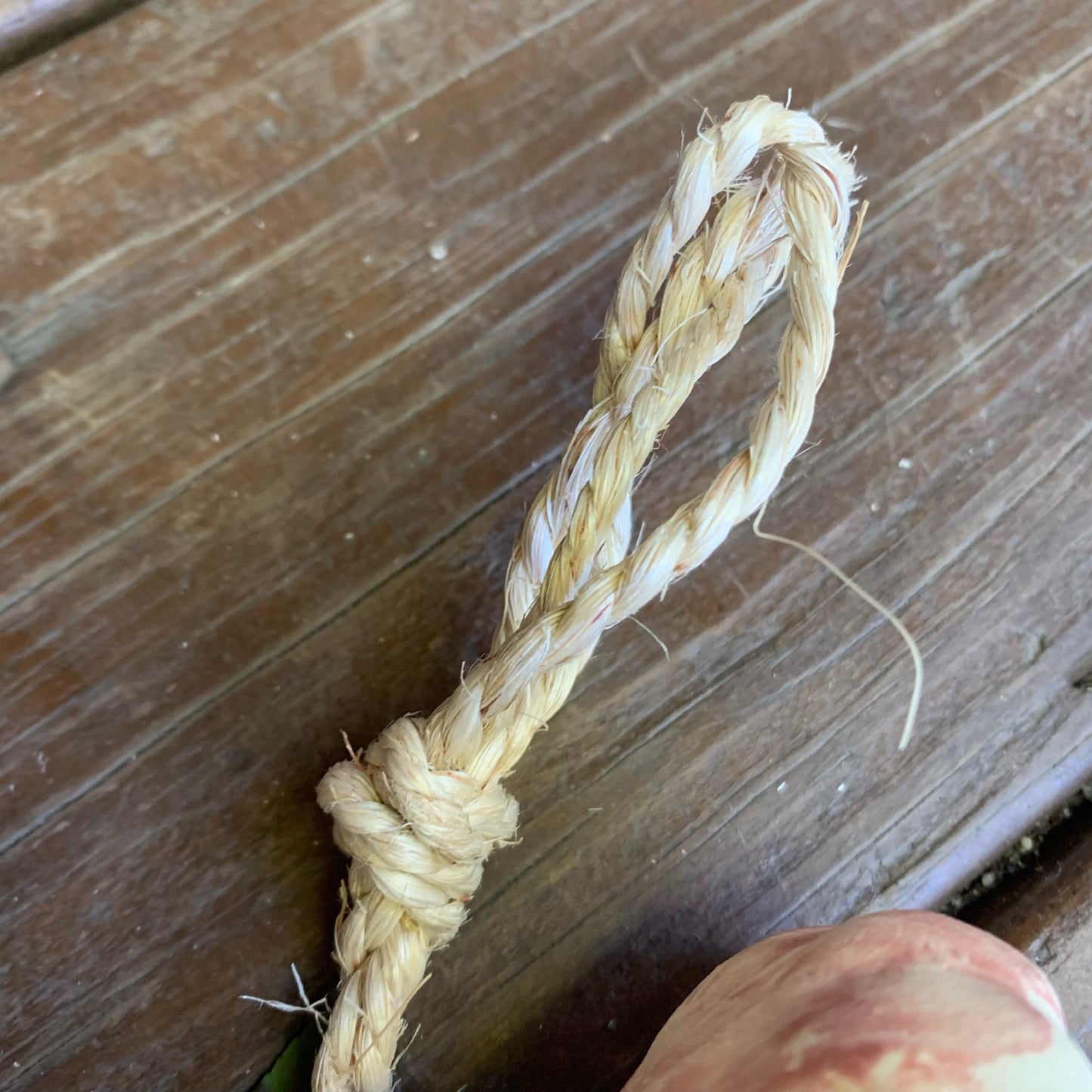 Ceramic Garlic String Grande