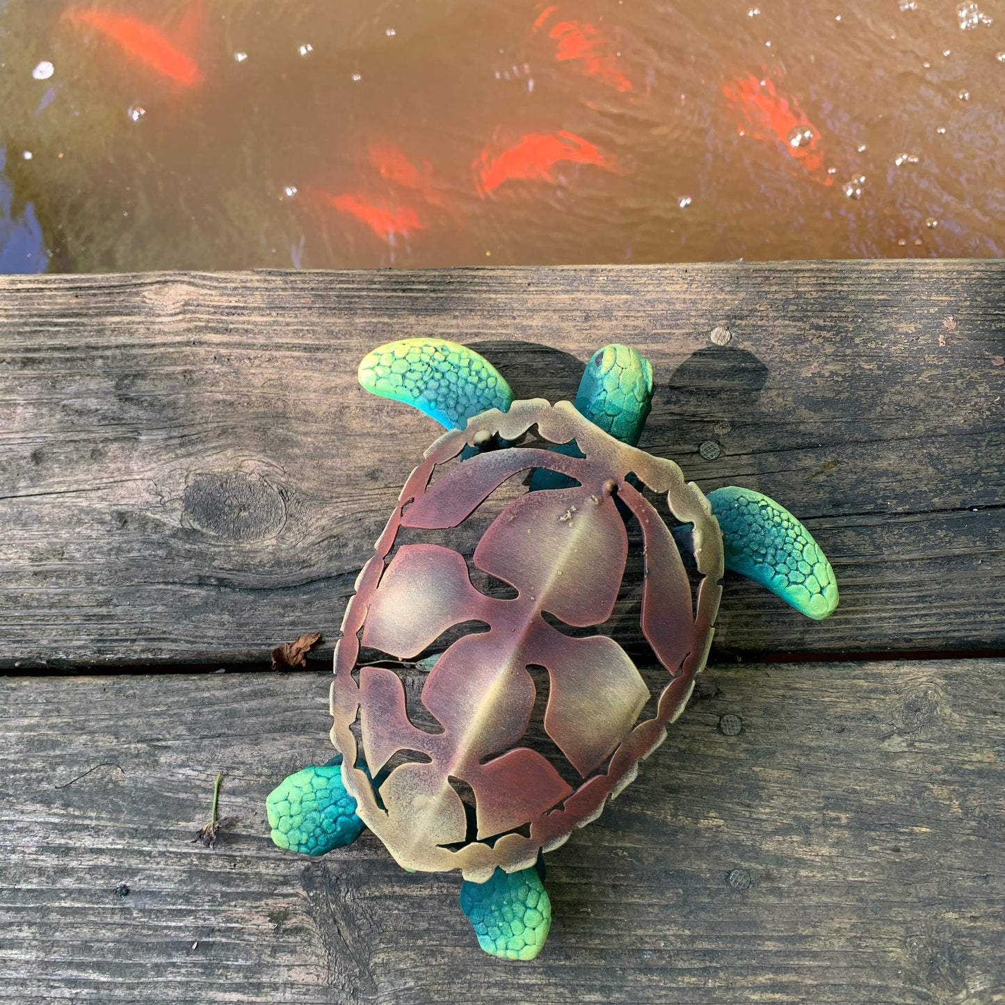 Small Sea turtle
