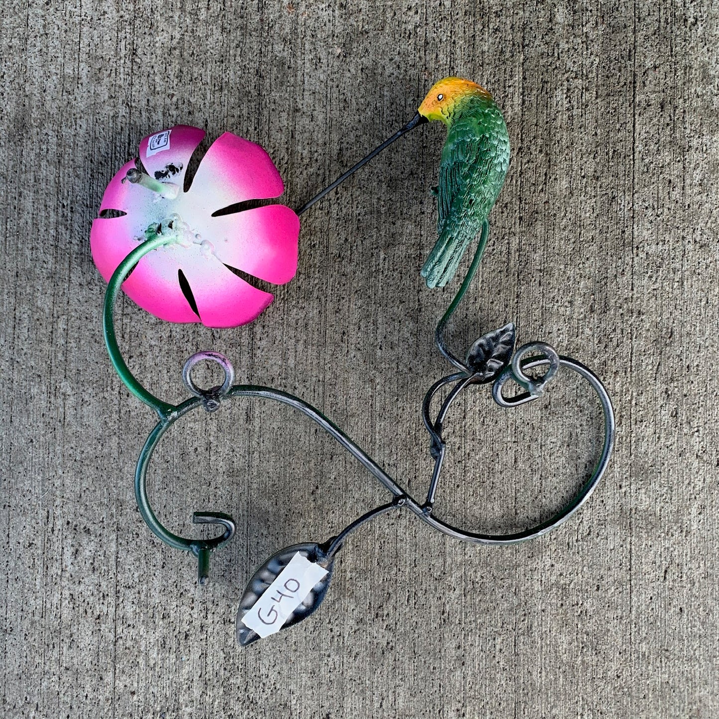 Hummingbird with Pink Flower